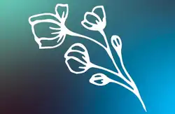 Official logo