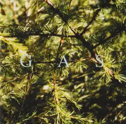 A close-up of a pine tree, with the text "GAS" overlayed and spread out at the center.