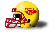 Rivas Osos helmet