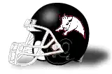 Cantabria Bisons helmet