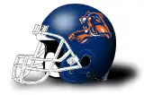 Granada Lions helmet