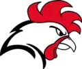 Helsinki Roosters logo