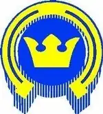 Logo used by Kiekko-Espoo 1984–98
