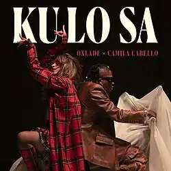 Camila Cabello remix cover