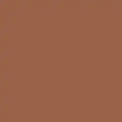 The physical cover art features a plain, monochromatic, metallic bronze background.