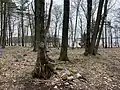 The known-burial locations