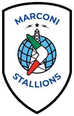 A white shield depicting a boomerang situated in front of a radio tower.