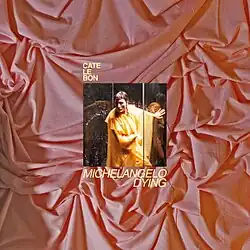 A pink, wrinkled fabric, with a small square in the centre with a picture of Cate Le Bon in a yellow dress, standing wet in a hall of mirrors