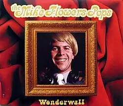 Cover art for the Mike Flowers Pops version. A smiling man inside a picture frame with a red background.