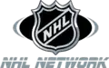 Silver logo used from 2005 - 2007. Original logo from 2001 - 2005 used original NHL logo colours; black and orange
