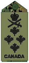 CADPAT uniform