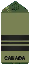 CADPAT uniform (old insignia)