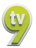 Third logo for TV9, a second iteration of the 2006 logo, used from 2013 to 2021