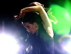 Noche Flamenca, part of CMA's VIVA! & Gala, now called the Performing Arts Series[68]