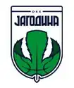 KK Jagodina logo