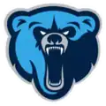 Osos de Toluca logo