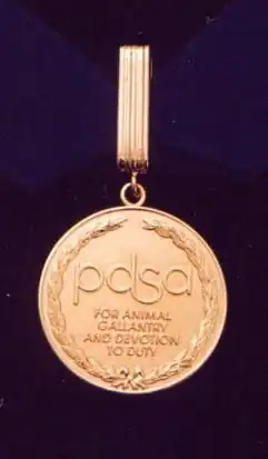 Gold medal encircled in a laurel wreath and inscribed "PDSA For animal gallantry and devotion to duty" held from a ring suspended by a golden ribbon.