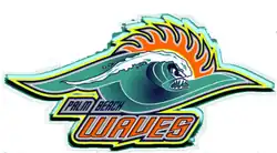 Palm Beach Waves logo