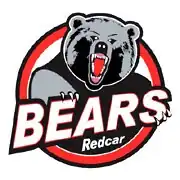 Redcar Bears