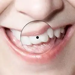 A single cover featuring a close-up shot of a woman's mouth.