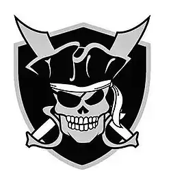 Rochester Raiders logo