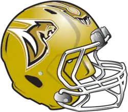 Sacramento Mountain Lions helmet