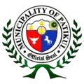 Official seal of Patikul