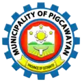 Official seal of Pigcawayan