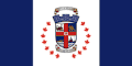 Flag of Selkirk
