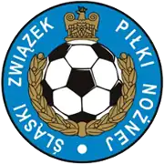 Shirt badge/Association crest