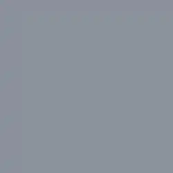 The cover art features a plain, monochromatic, metallic silver background.