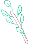 Spiral