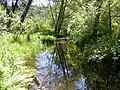 Spruce Creek, 2009