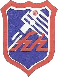 Shirt badge/Association crest