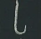 Fish hook