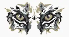 Close up drawing of a wildcat's face