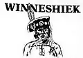 Flag of Winneshiek County, Iowa